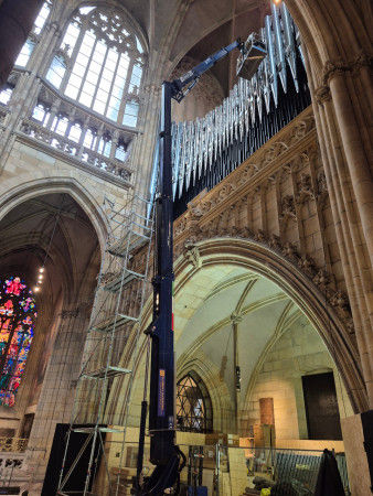 Katedrála sv. Víta, Václava a Vojtěcha